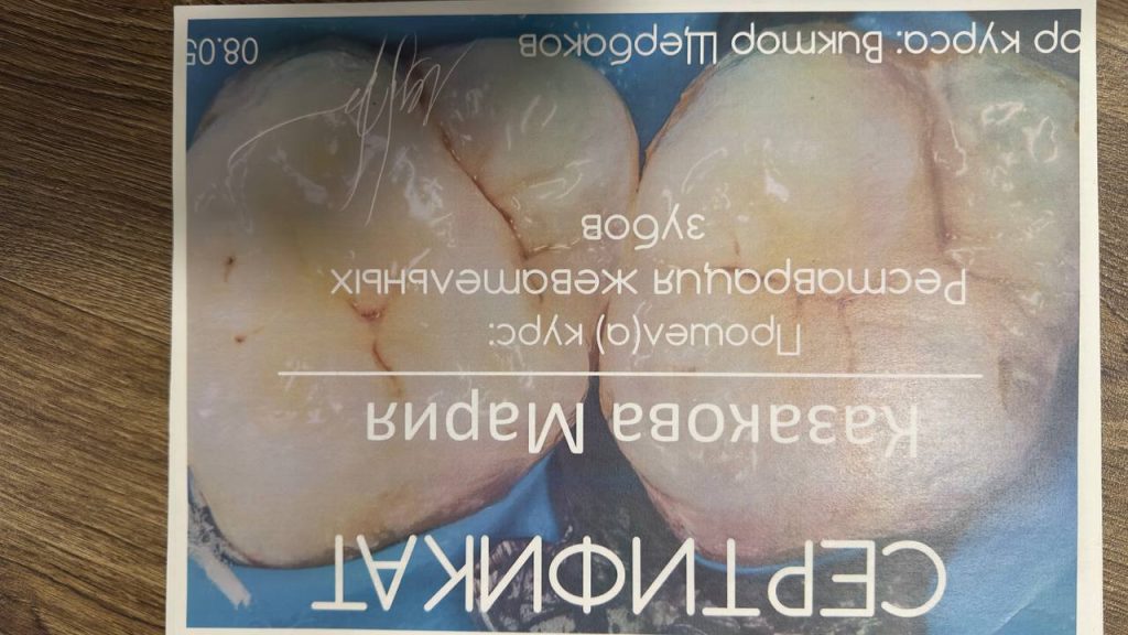  №29