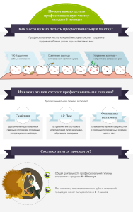 Почему важно делать профессиональную чистку каждые 6 месяцев